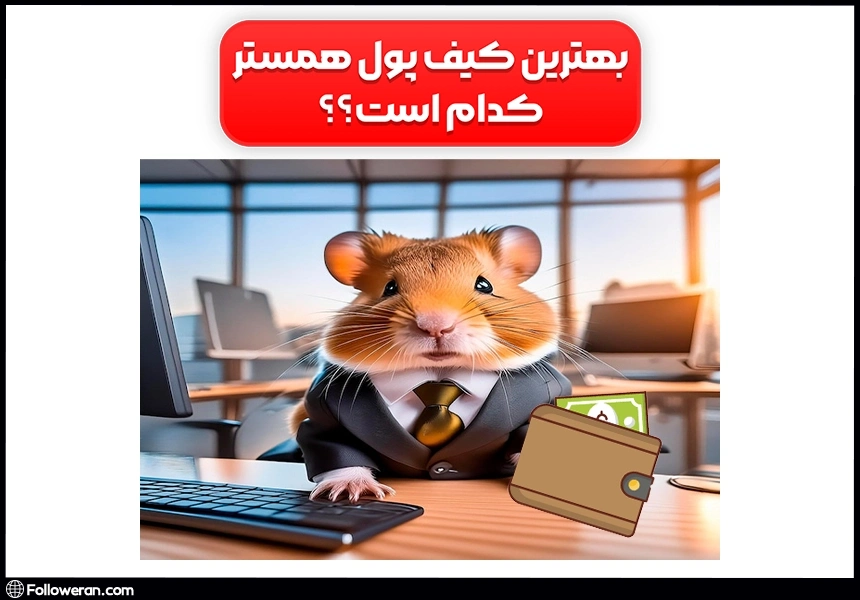 بهترین کیف پول همستر