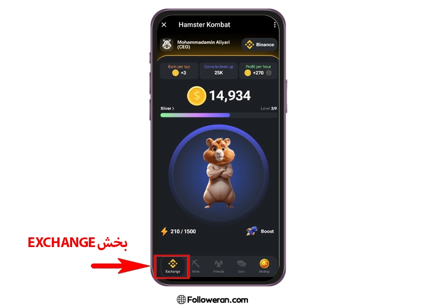 همستر کامبت، بازی همستر کامبت، بازی کریپتویی همستر