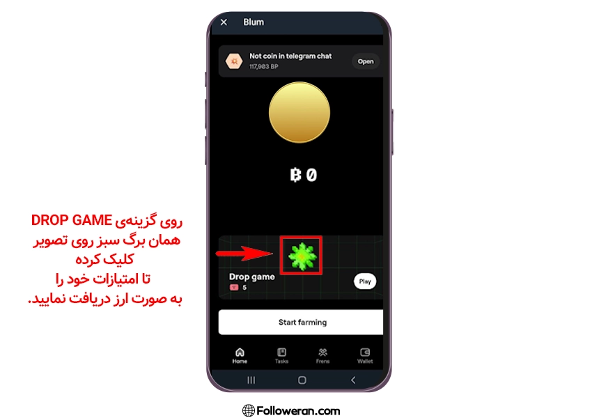 آموزش بازی بلوم