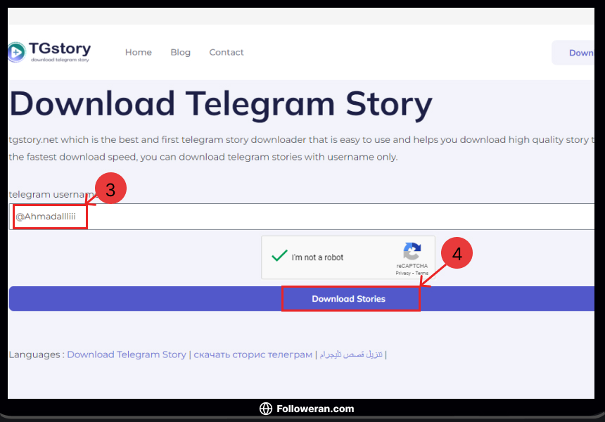 دانلود استوری تلگرام با استفاده از سایت tgstory 