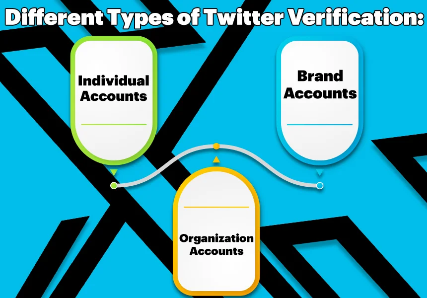 The Different Types of Twitter Verification