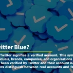 What is Twitter Blue Subscription?
