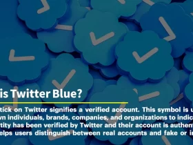 What is Twitter Blue Subscription?