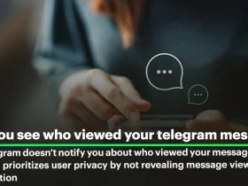 How to Check Who Sees Your Message in Telegram Group?