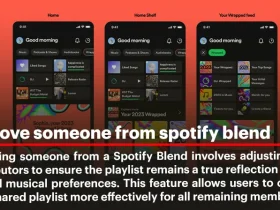 How to Remove Someone from a Spotify Blend?