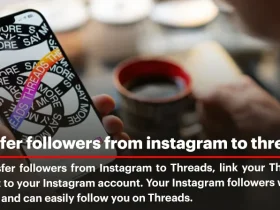 How to Transfer Followers from Instagram to Threads?