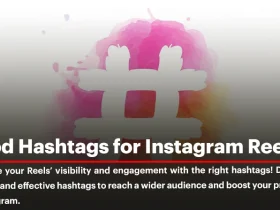 360 Best Hashtags to Use on Instagram Reels in 2024