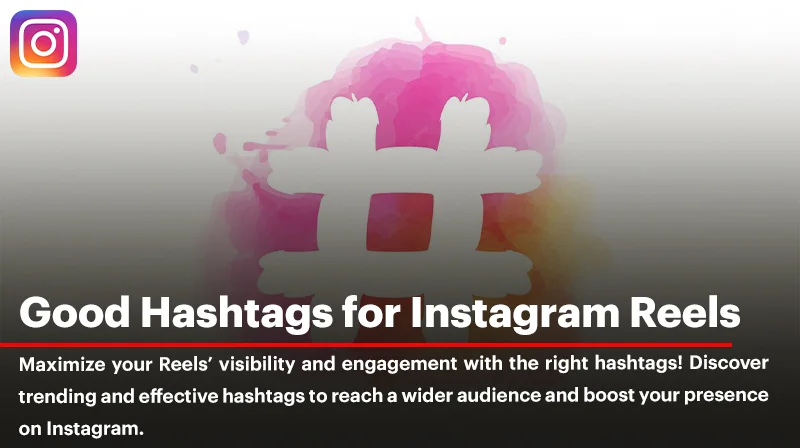 360 Best Hashtags to Use on Instagram Reels in 2024