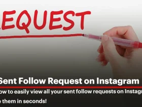 A Complete Guide on How to See Sent Follow Request on Instagram