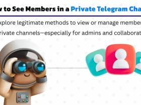 Can You See Members in a Telegram Private Channel? Here’s How