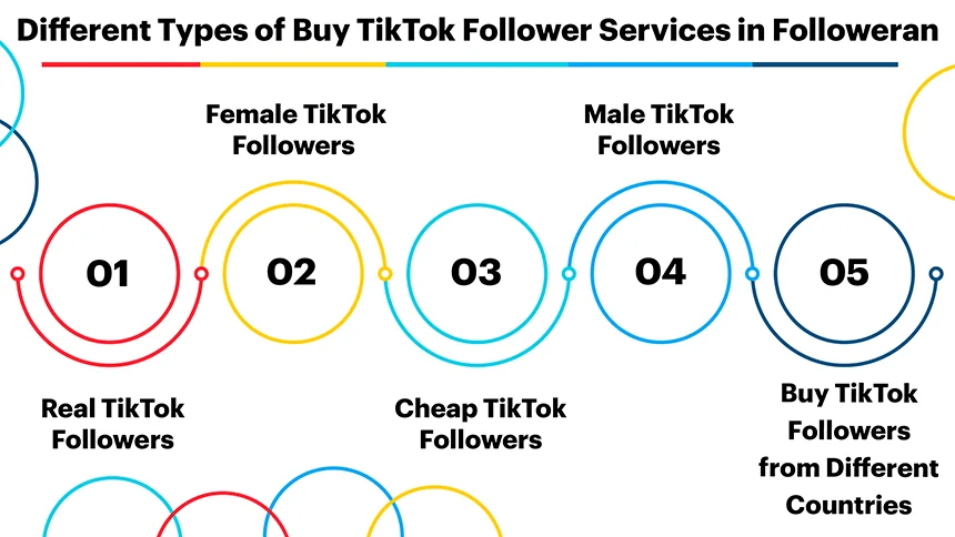 Different Range of TikTok Followers Services provided in Followean.