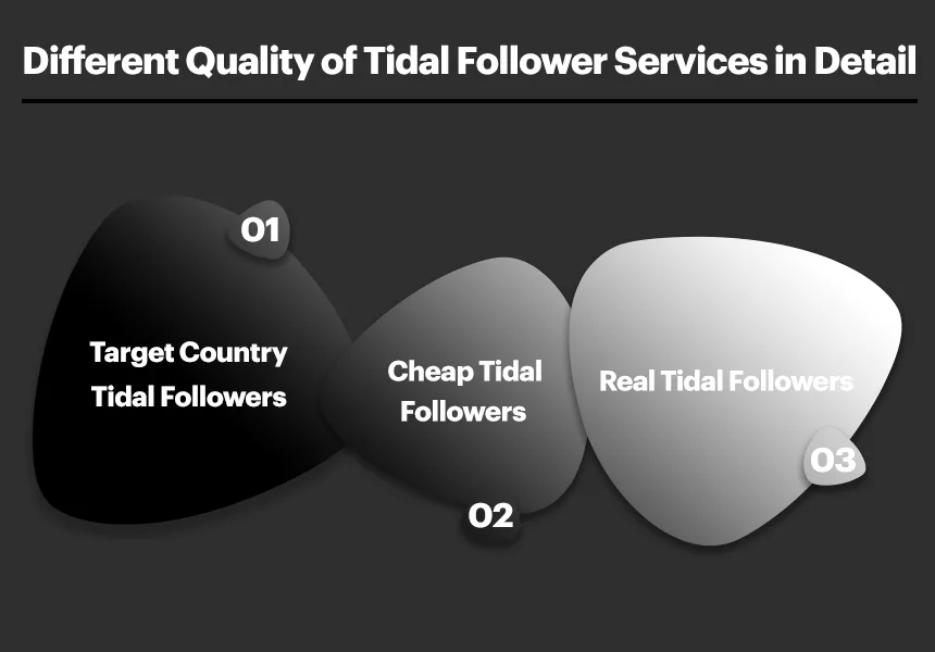 Different Quality of Tidal Follower Services in Detail