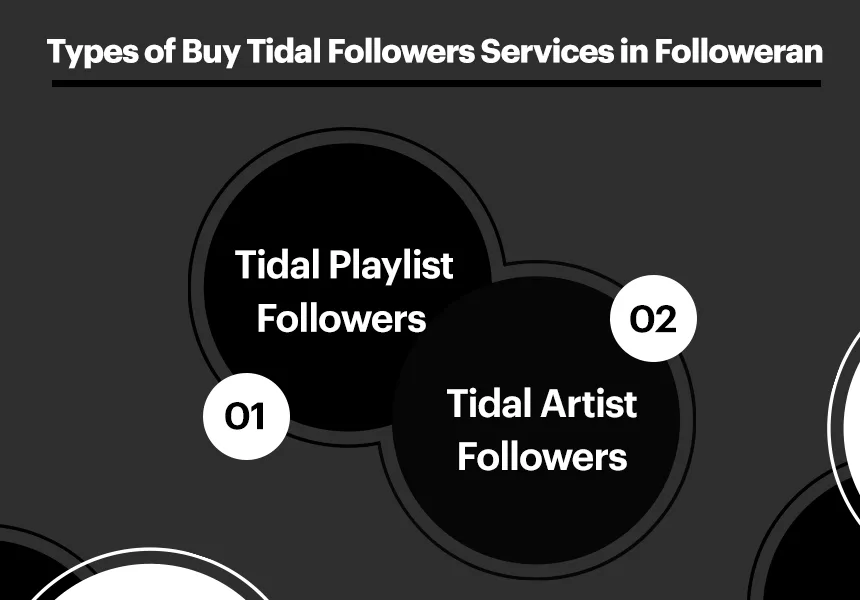 Types of Buy Tidal Followers Services in Followeran