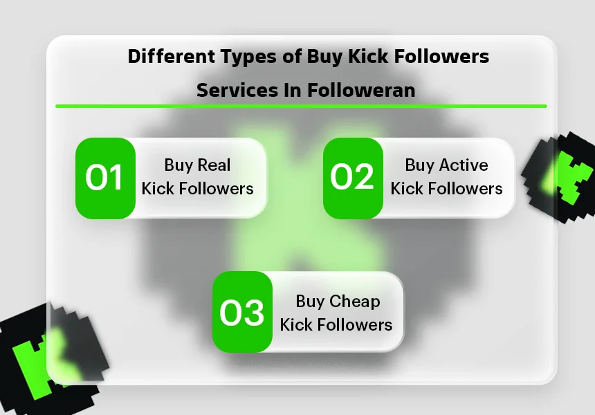 Different Types of Buy Kick Followers in Followeran