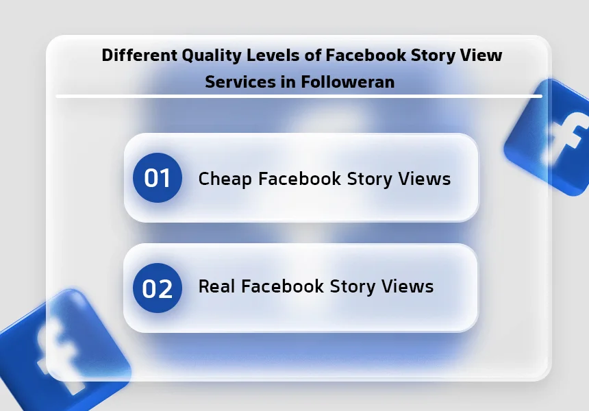 Different Quality Levels of Facebook Story View Services in Followeran