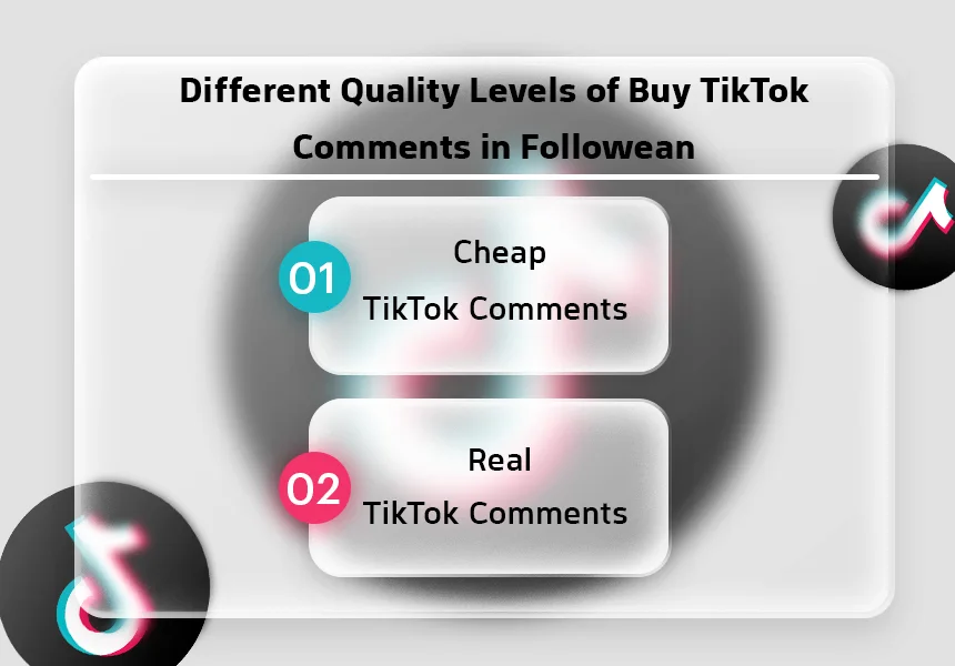 Different Quality Levels of TikTok Comments in Followeran