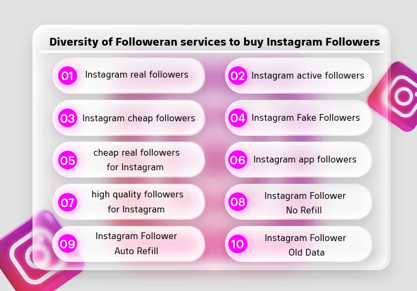 Diversity of Followeran services to buy Instagram Followers