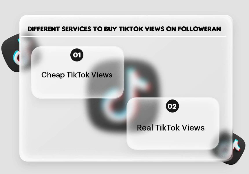 2 Main Categories of Buy TikTok Views on Followeran