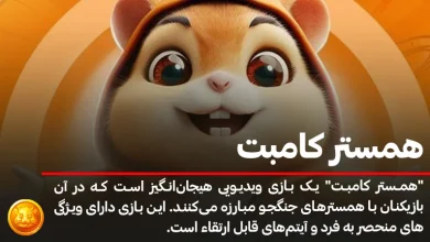 همه چیز درباره بازی تلگرامی همستر کامبت